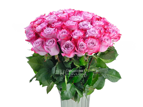 РОЗЫ поштучно с ДОСТАВКОЙ по Югу России и Москве